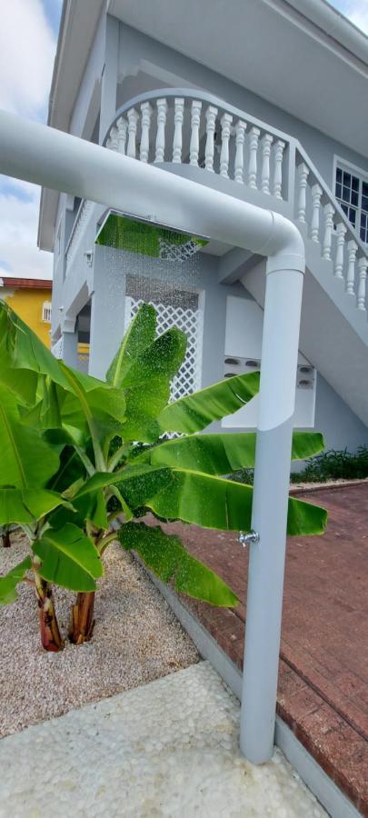 Villa Ravens'S Paradise Azul Willemstad Exterior foto